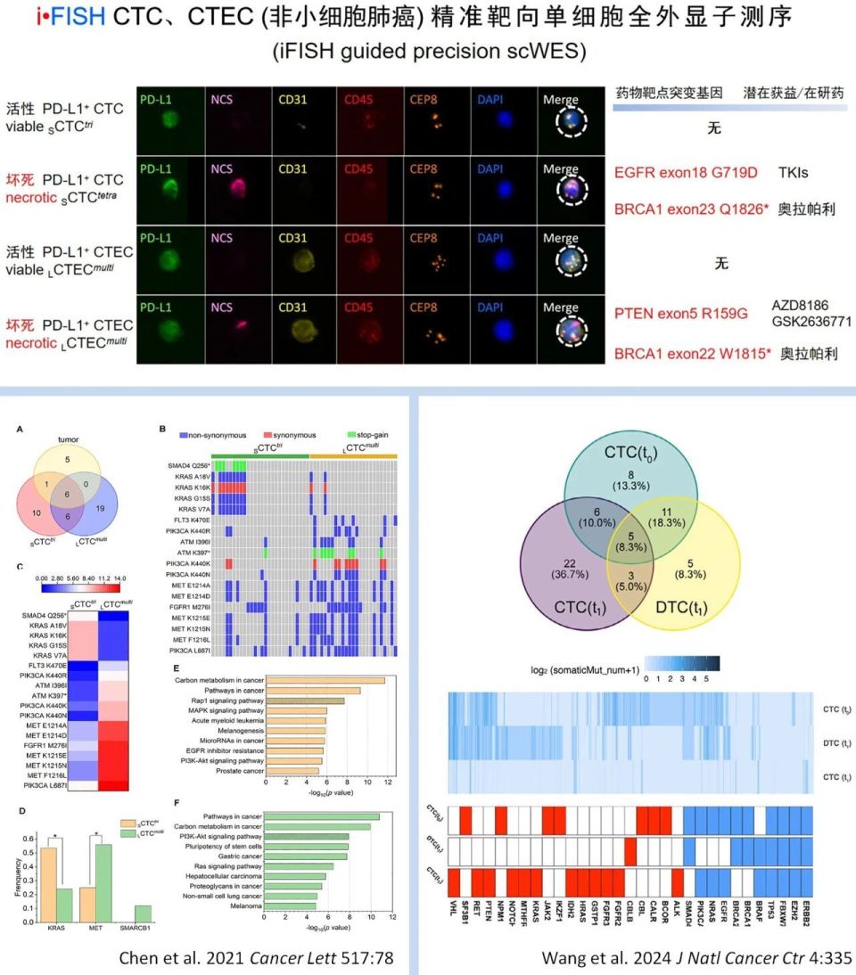 CTC、CTEC 2.0的临床应用及 i•FISH精准靶向单细胞蛋白质组学等多模态研究_腾讯新闻