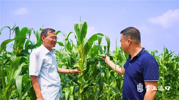 [南方生姜网-图片加载]