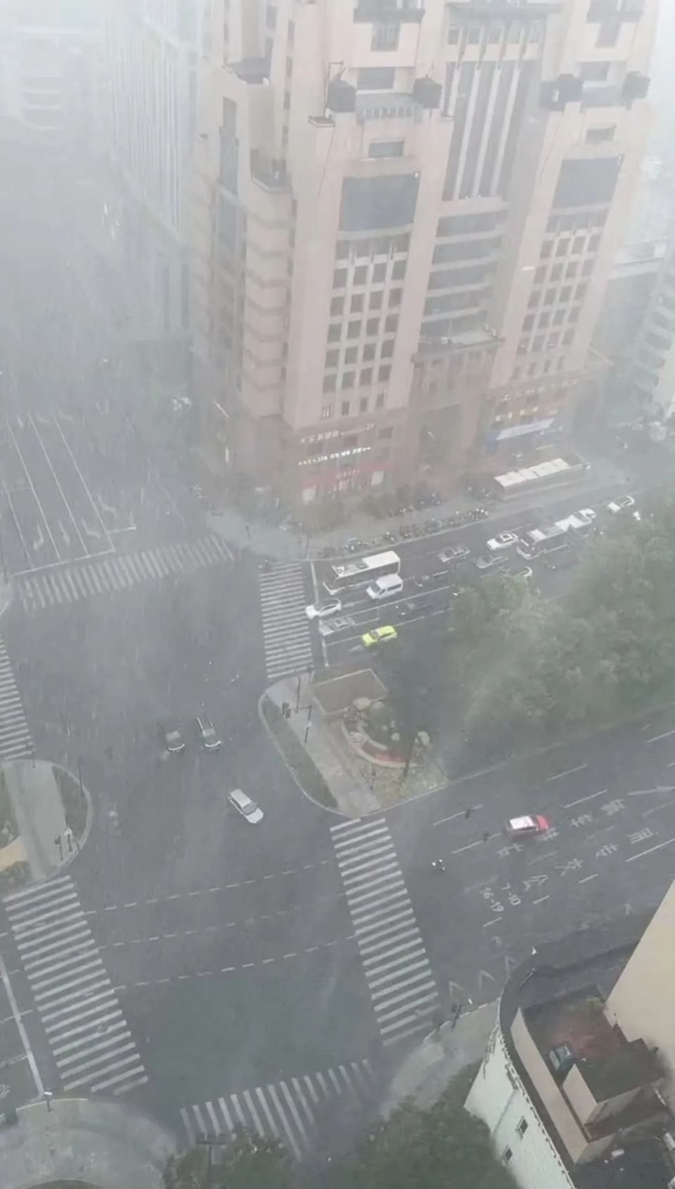 2℃!上海今天三预警齐发!刚刚你那里狂风暴雨了吗?