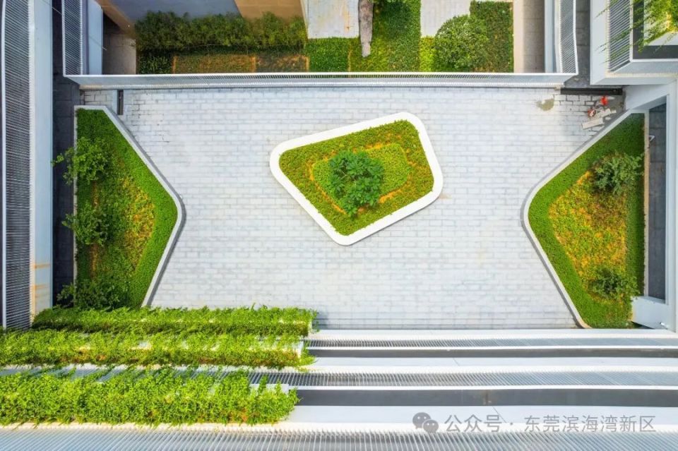 教学楼庭院的设计独特校园内的园林绿化设计极具特色,尽显美感.