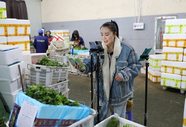 开花洋芋,盐水石榴,乐业辣椒……会泽农产品声名远"播"走出大山