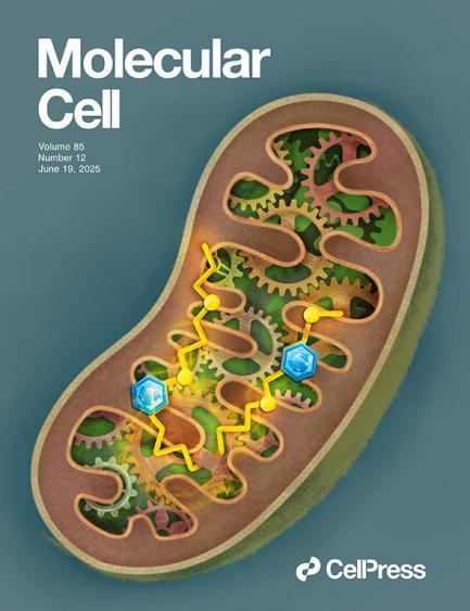 CELLEXC，cellexc是什么品牌