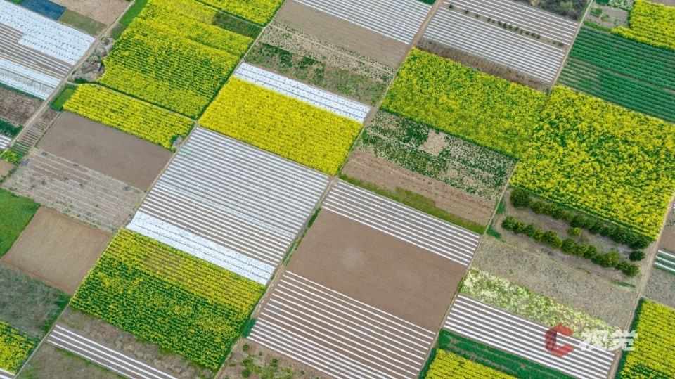 c视觉·航拍四川(68)丨在希望的田野上 绘就"乡村春景图"_腾讯新闻