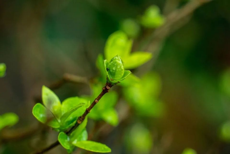 归人犹在天涯,春雨打湿相思_腾讯新闻