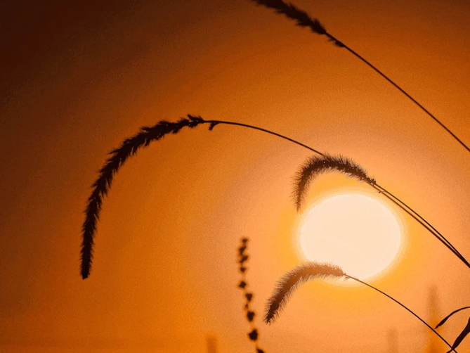 一点庆阳 陇上名家散文 | 落日归山的黄昏(文/牛旭斌 诵/米玲)