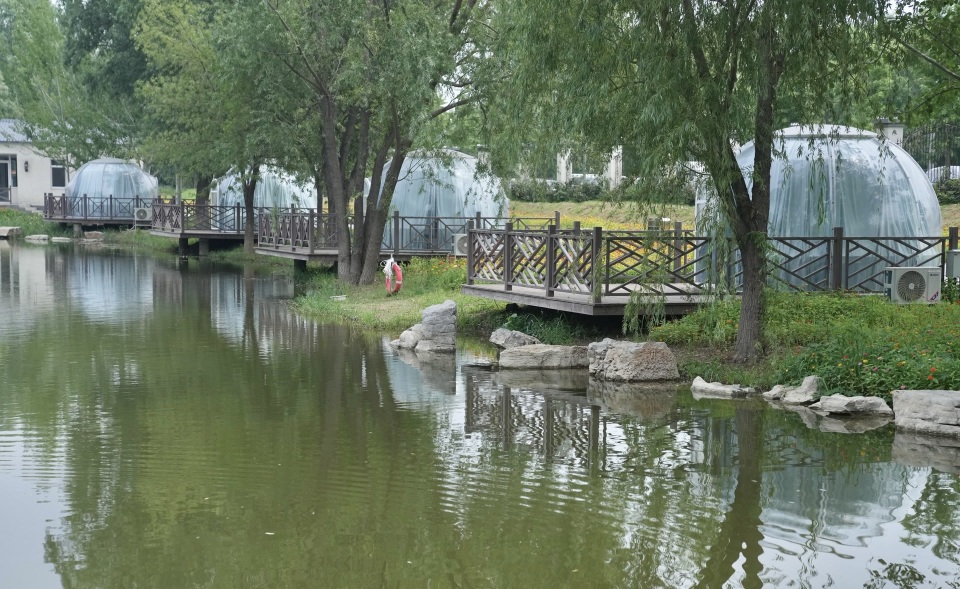 京西旅游小镇上新,王佐稻田画边开起露营公园