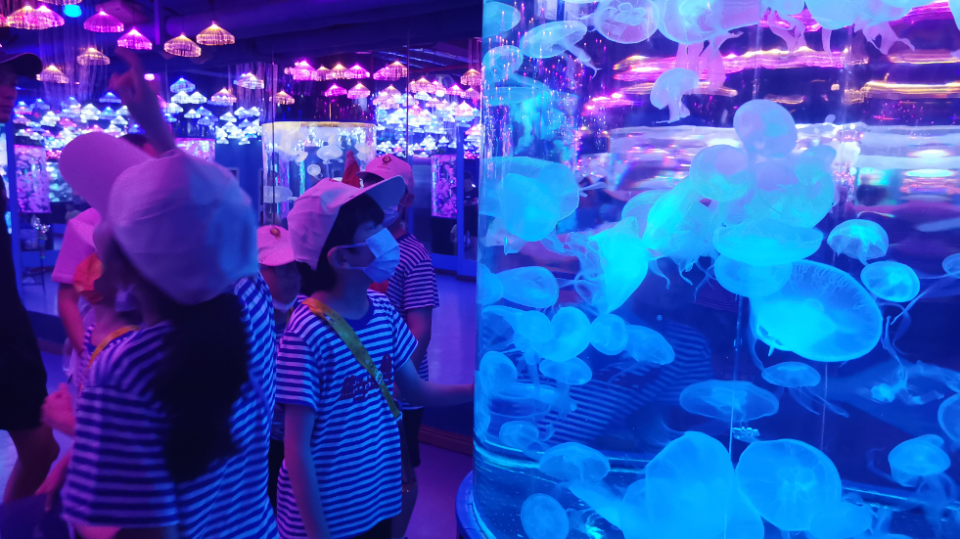 宁波海洋世界还可以和海底生物来一次近距离接触哦少年们不仅可以踏浪