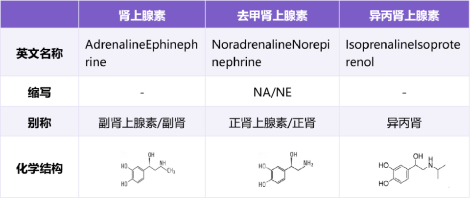 肾上腺素,去甲肾上腺素,异丙肾上腺素的区别,看一遍就记住了!