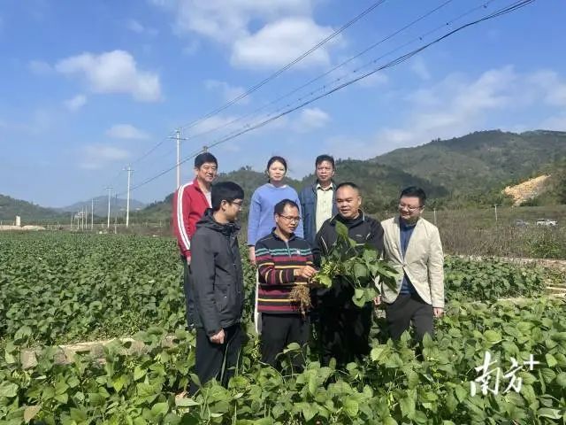 记广州派驻丰顺县黄金镇工作队的帮扶故事