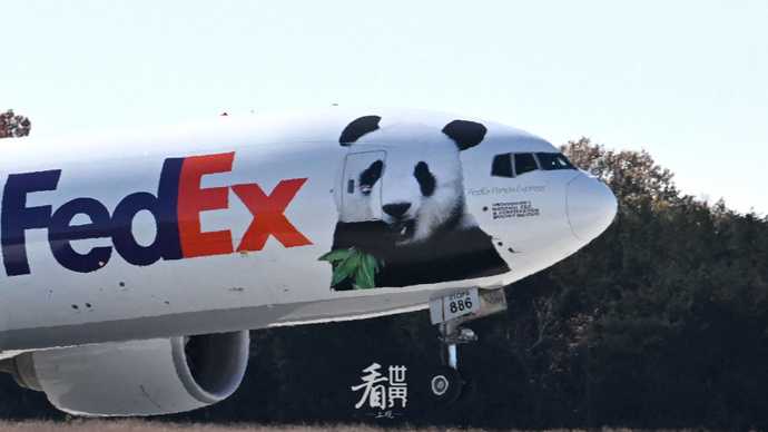 【看世界】"随身行李"曝光,旅美大熊猫"美香"一家三口启程回国