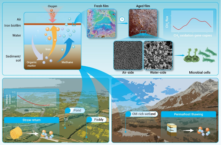 The Innovation Geoscience | Virtual Collection-2023-2025 Summary_腾讯新闻