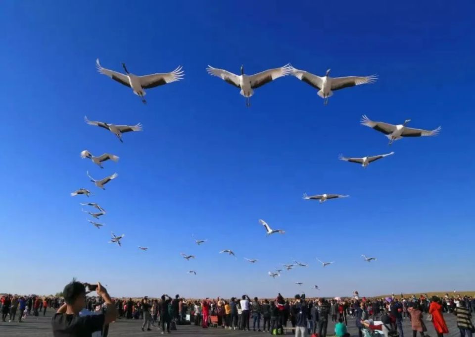 免费!赠送!齐齐哈尔景区"放大招"
