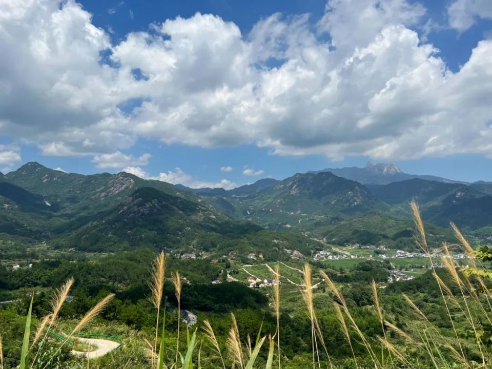 岳西县—映山红大观园—妙道山—金璧禅寺—苦竹河—天峡风景区—皖鄂