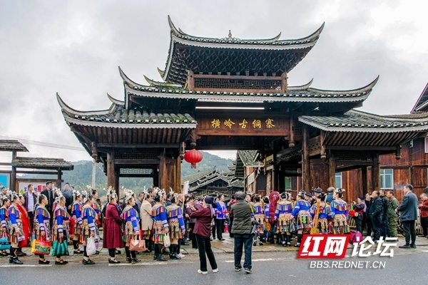 游侗寨,品油茶,赏花海!通道县举办了如此热闹的油菜花节_腾讯新闻