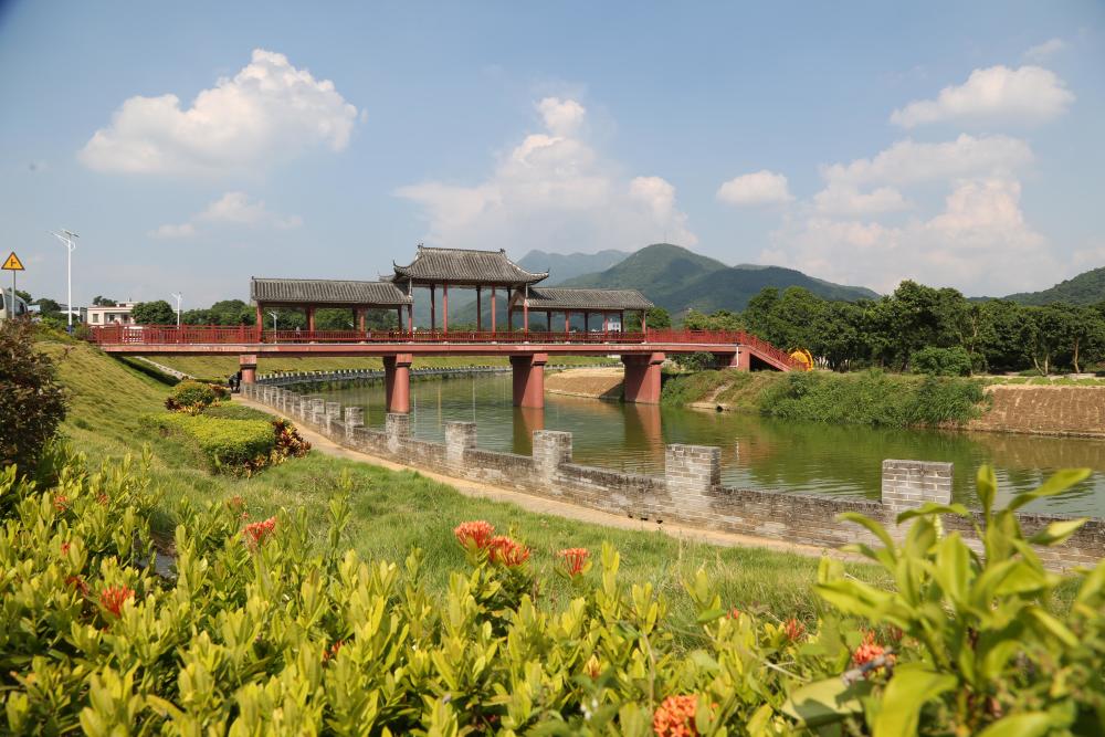 8日下午,由广东省各地市代表组成的调研团来到高州市根子镇元坝村,对