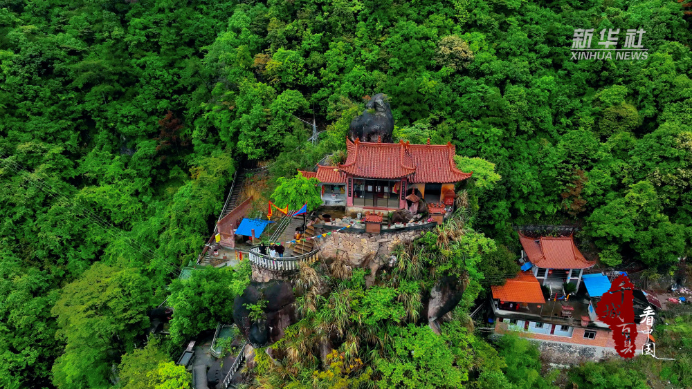 千城百县看中国|福建寿宁:天然岩峰——金鸡巢_腾讯新闻