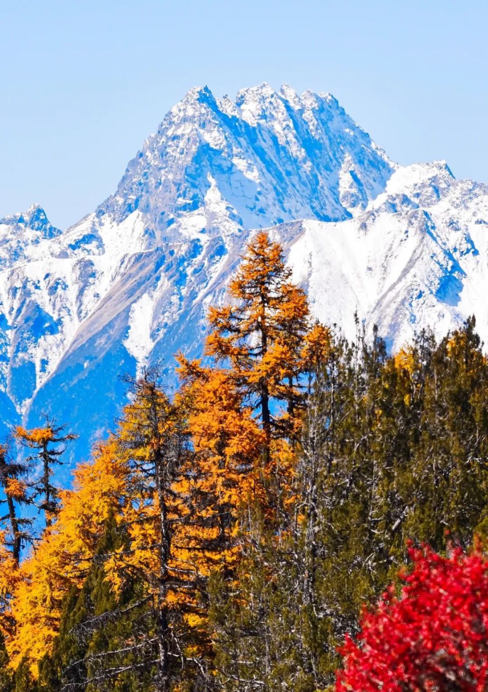 中国西部雪山拼图,最后一块终于完成
