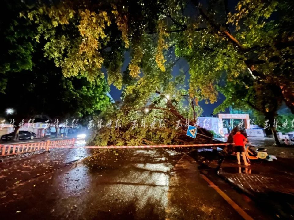 狂风暴雨的照片图片