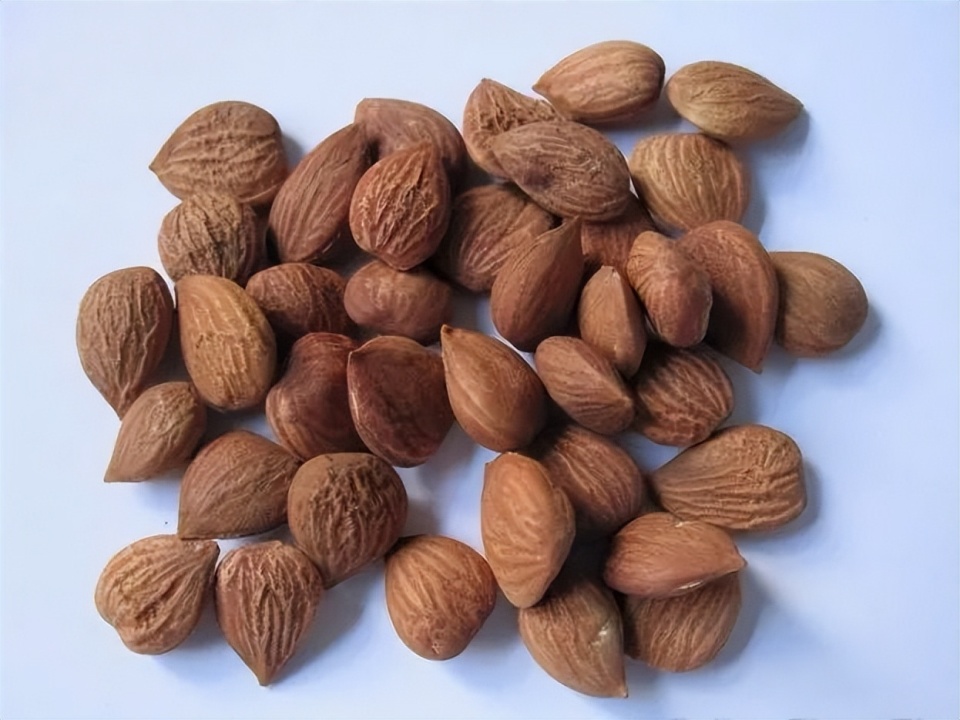 苦杏仁为止咳平喘药,主要功效是止咳平喘,润肠通便.