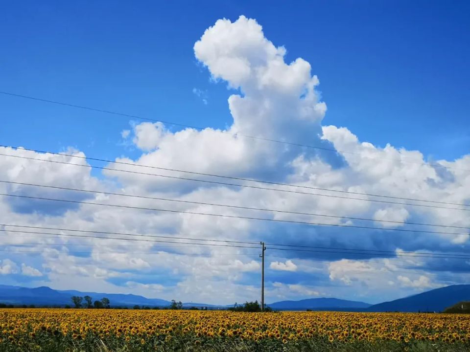 壁纸 草原 桌面 960_720
