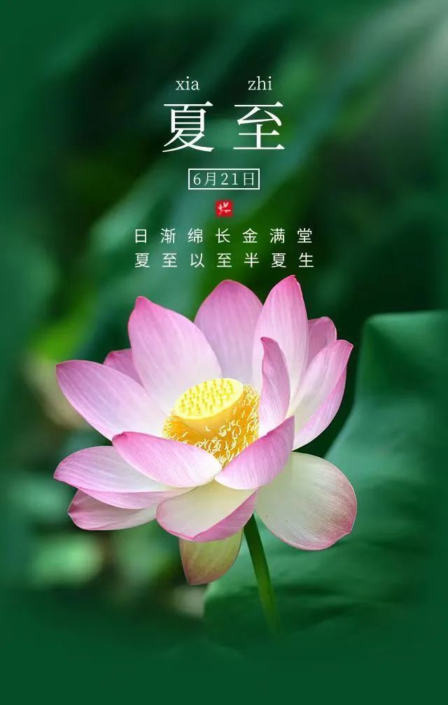 夏至,古时又称"夏节","夏至节".