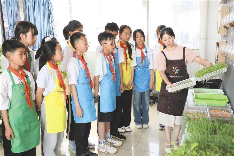 陆良文化小学:跨学科校本课程让教学"活"起来