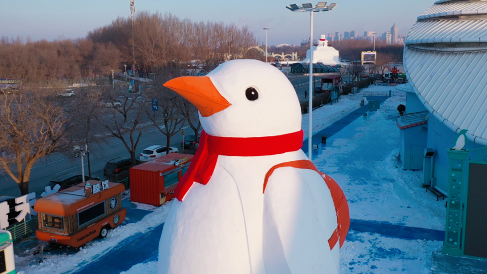 雪雕猛禽图片