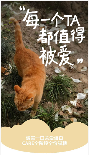 天猫销售排行榜_社科文献2023年6月销售排行TOP10