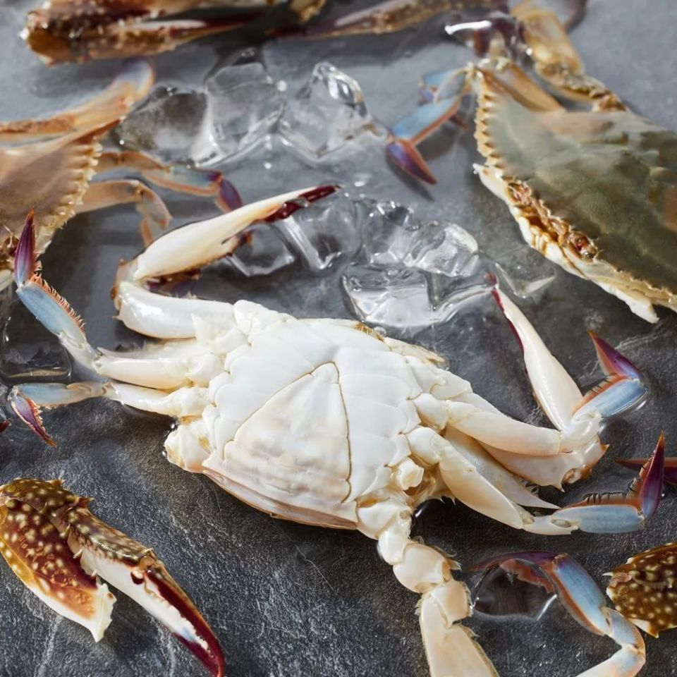 梭子蟹喜迎丰收年