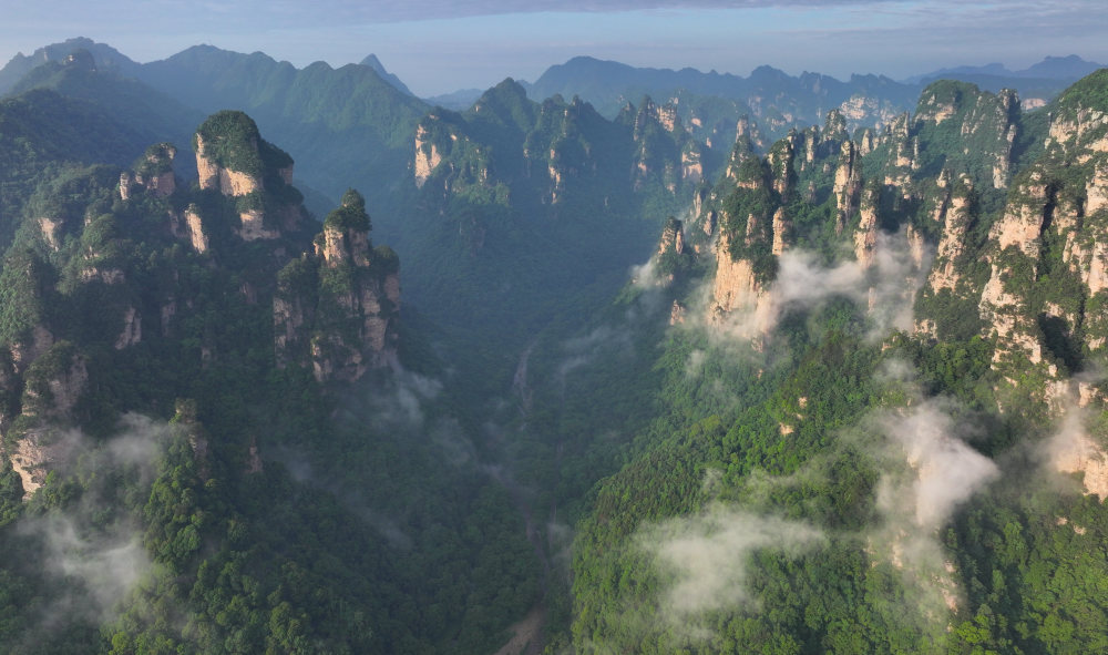 以上图片:2024年6月3日,湖南张家界国家森林公园十里画廊景区云雾缭绕