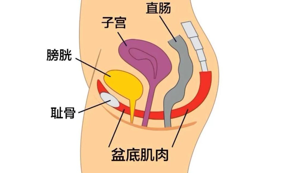 治疗方式丨健康总动员