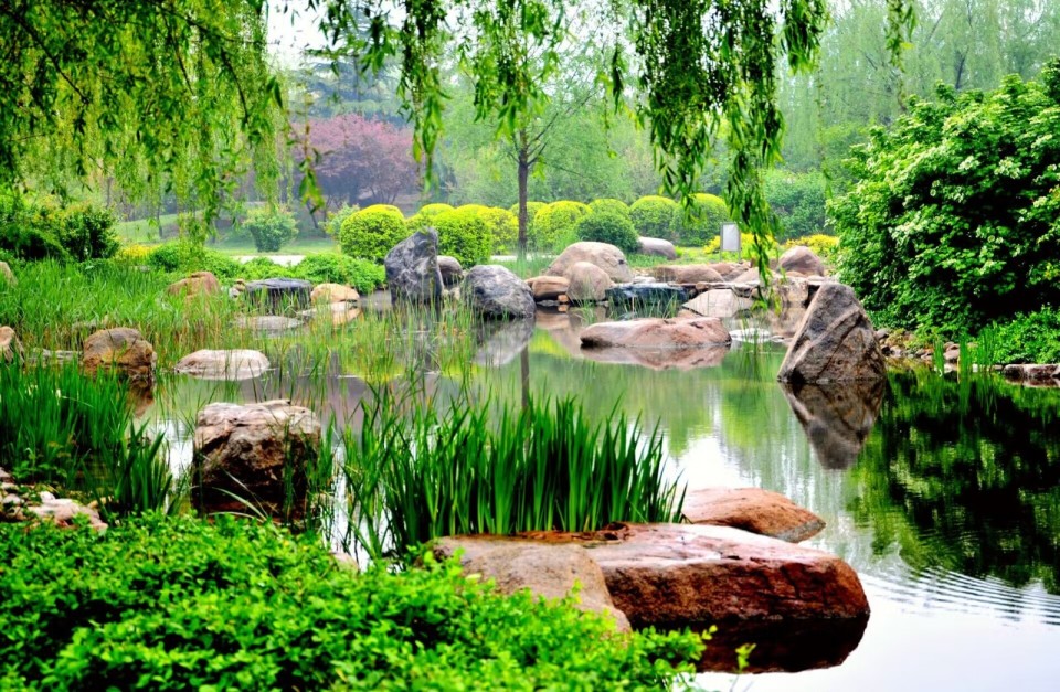 寿光市湿地良好生态环境引来珍稀鸟类栖息