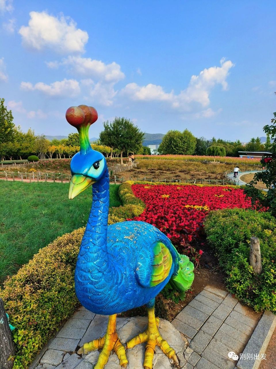 秋日大连董家沟植物园,赏花好地方,太美了_腾讯新闻