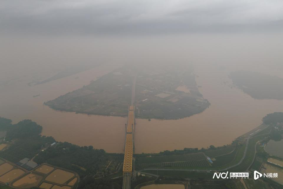 北江,绥江洪峰过境,砂糖桔田受浸,沿线有村落受淹()_