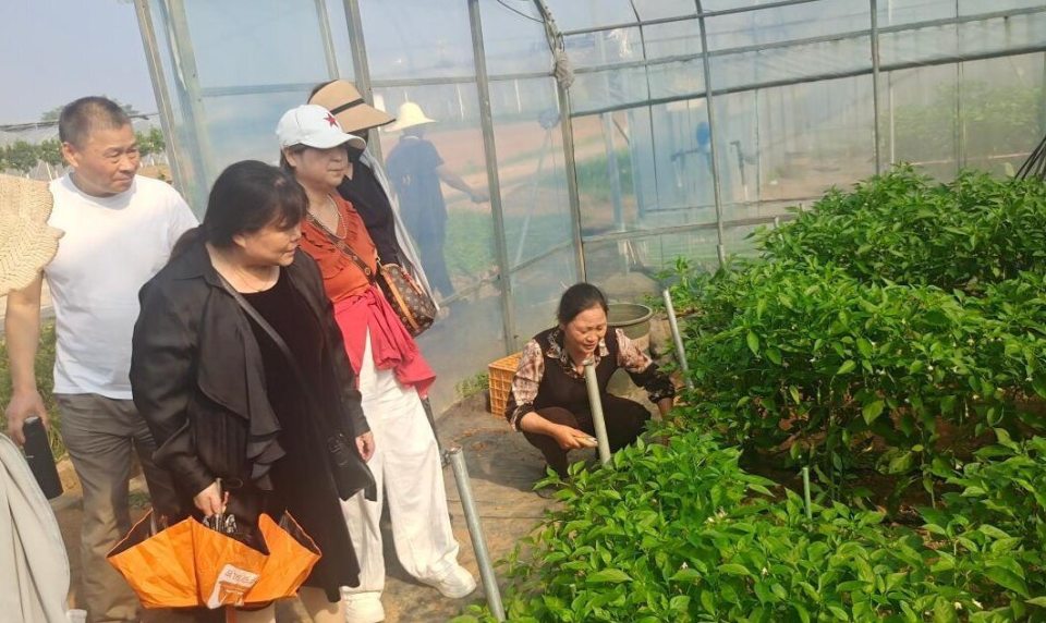 田间果蔬怎么卖上网？衢江这场直播培训手把手带教_腾讯新闻