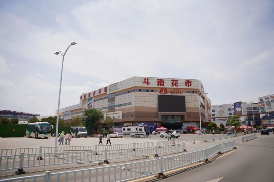 花漾斗南·向美而行 | 金桂街沿线弱电通信线路迁改完工