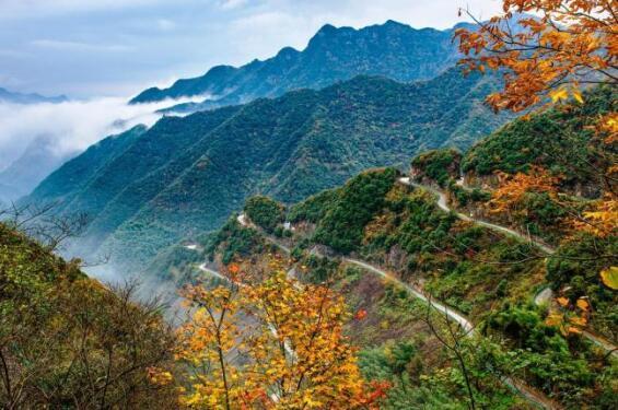 深耕市场高质量发展,助推文旅赛道加速度(一)