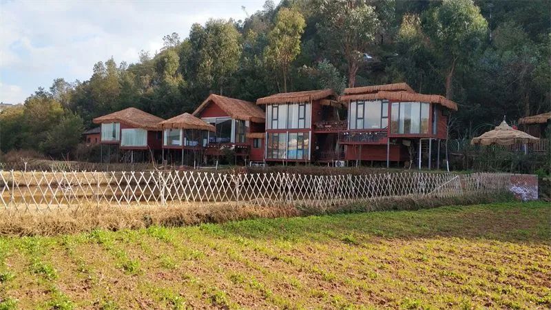 楚雄这条国家级精品线路,等你来打卡!