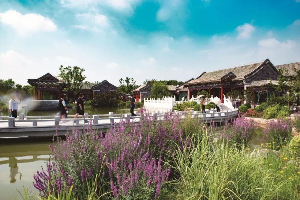 大片视角看唐山花海