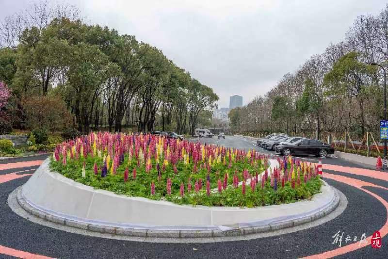 情人节路边花坛图片