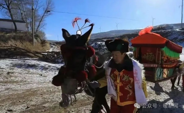 农村结婚,新郎家有用骡子车的,有用骡驮轿的.