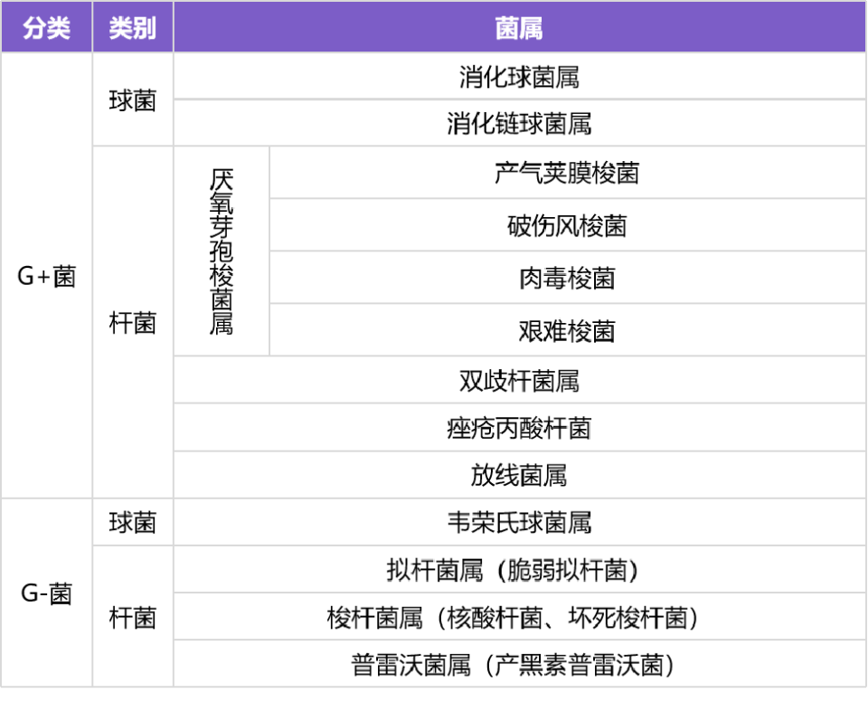甲硝唑和奥硝唑有何区别?常用抗厌氧菌药物怎么选?