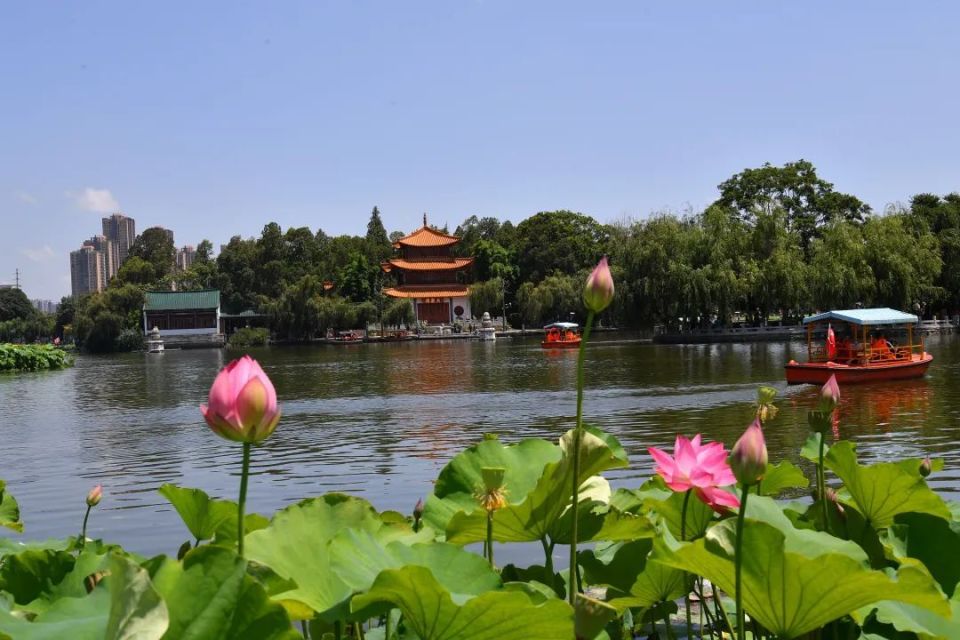 昆明很city,邀你来happy!