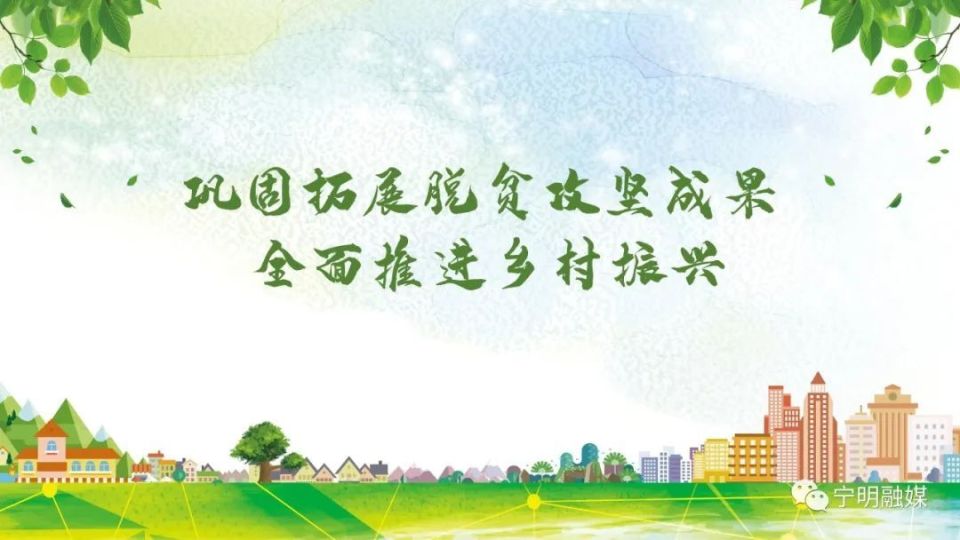 日前,走进宁明县明江镇双龙村黑皮冬瓜种植基地,记者