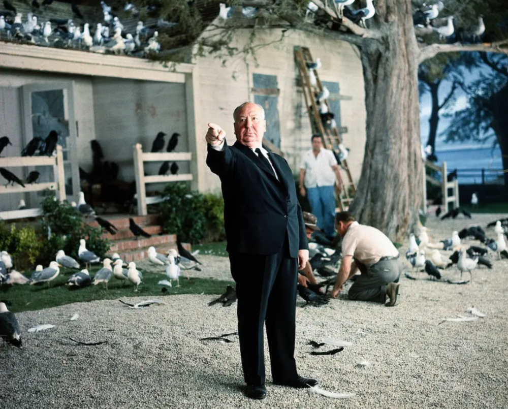 陀螺谈他第二喜欢的导演-腾讯新闻