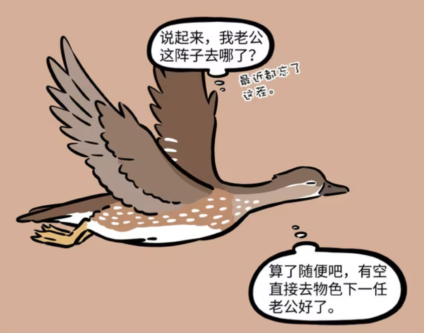 非人哉：人类爱情很麻烦，有只鸳鸯用兄弟情代替爱情，去忽悠月老-古次元