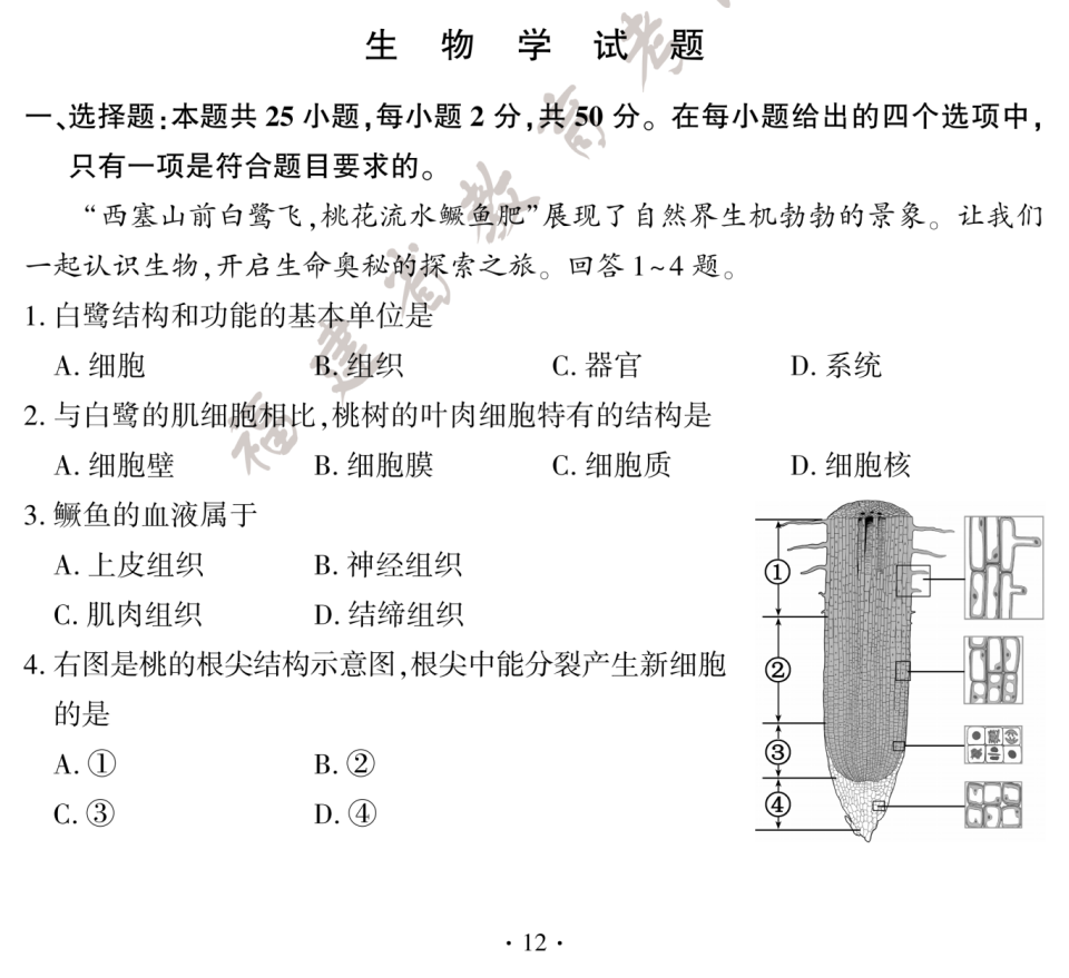e38ff4f463eccf8a61da58916a3e6621.png