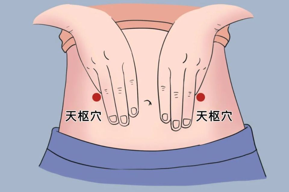 天枢穴1医生提醒,如出现胃脘痛,恶心呕吐,腹痛,腹泻,便秘,消化不良等