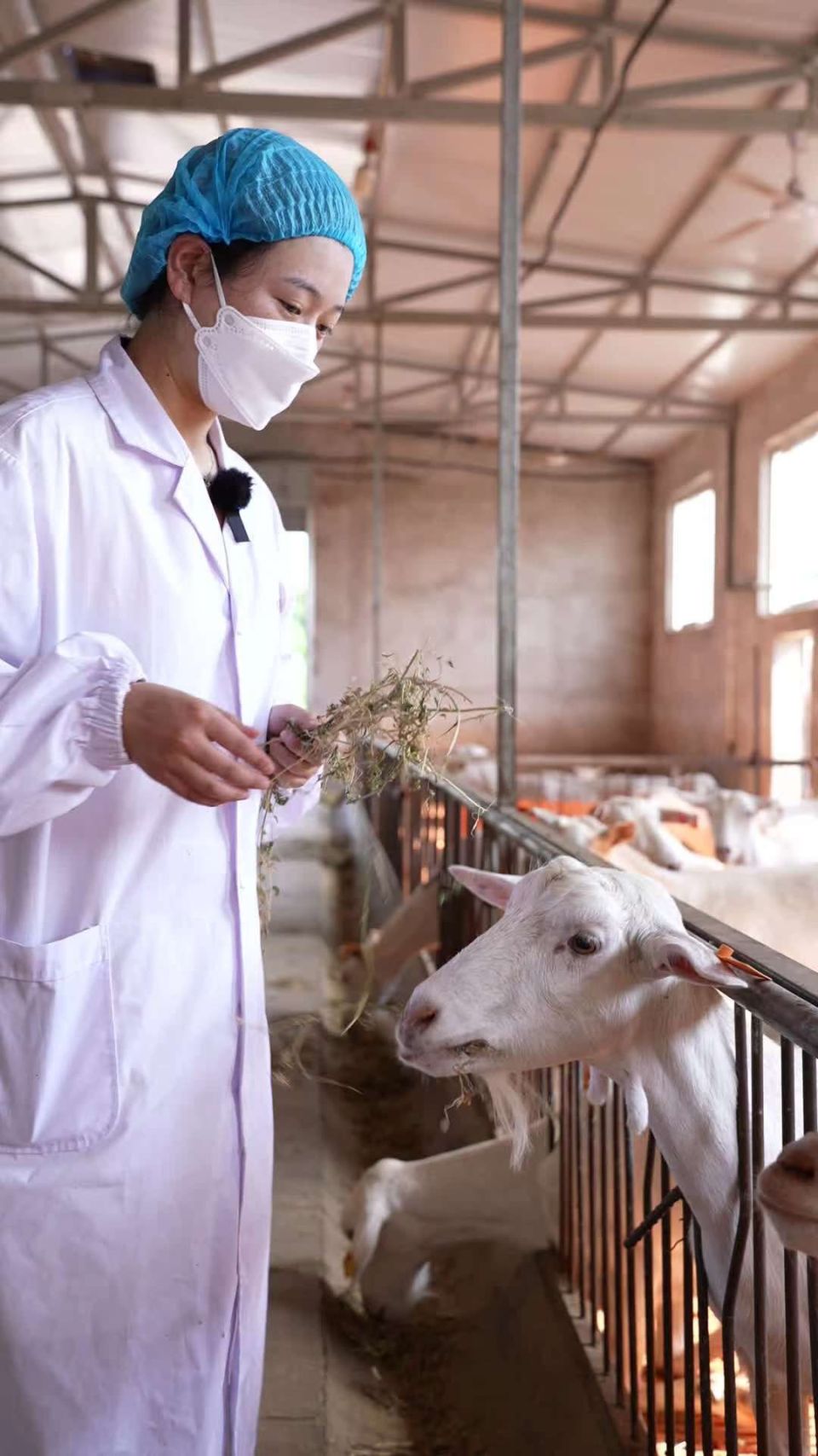 千亿规模的羊奶粉是一门怎样的生意?_腾讯新闻