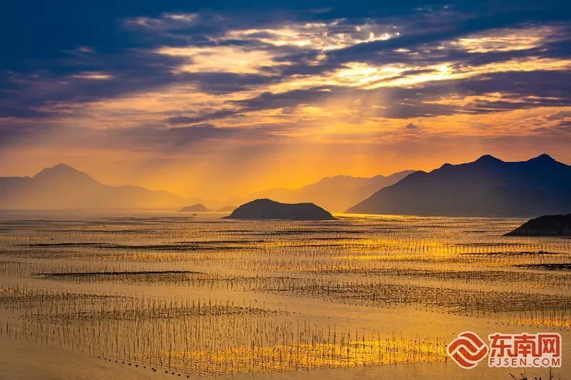 滩涂的风光极美是陆地面积的17倍之多29592.